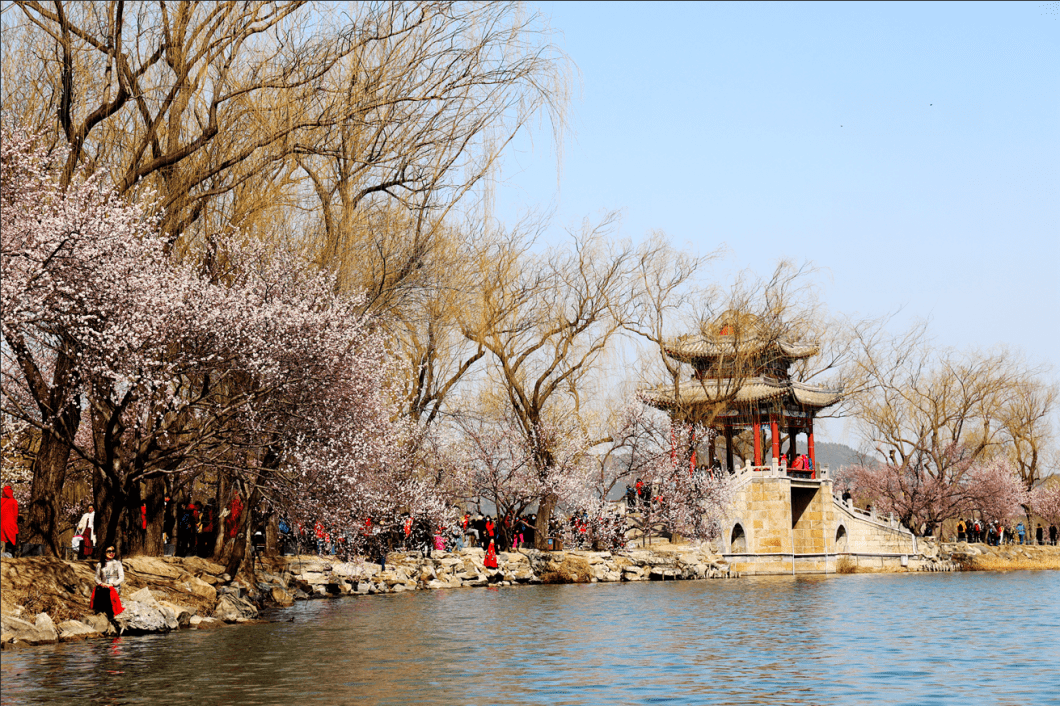 北京市属公园最全赏花攻略来了，附最佳观赏点