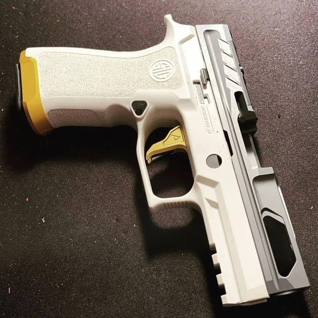 【粉丝求图】西格绍尔公司p320系列手枪美图