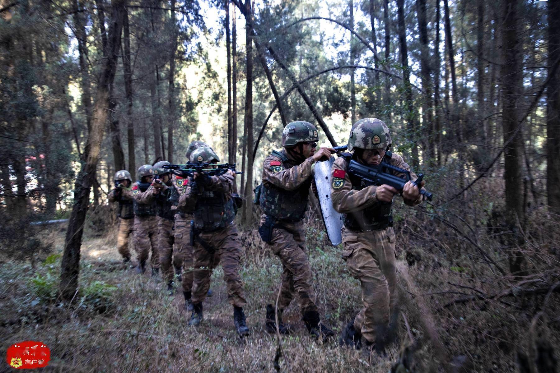 大图 直击武警特战队员野外驻训现场