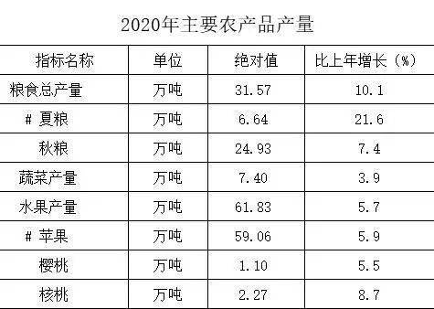 陕西铜川gdp2020_铜川市2020年国民经济和社会发展统计公报