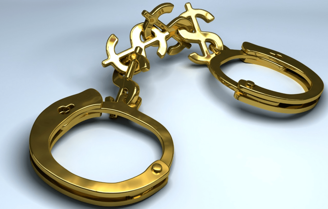 直言不讳 | 我们该如何理解次级职业生态