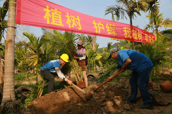 民革海南省委会保亭支部携手槟榔谷开展植树绿化活动