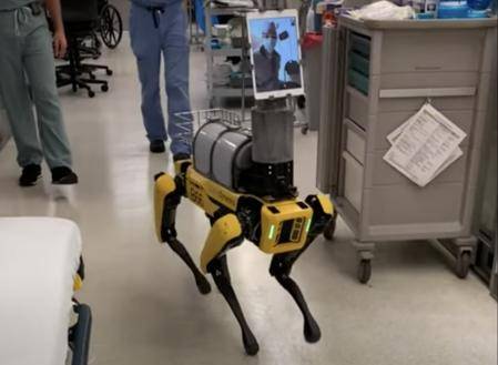 特拉弗索|为减少疫情传播 美国高校研发机器狗“医生”
