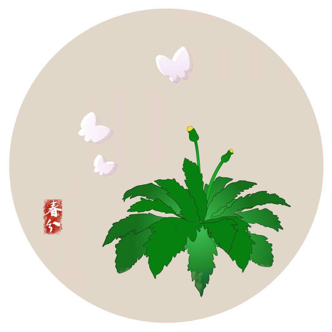 春分习俗全部 e2f5e182efc944118eb1ea5931be792a.jpeg