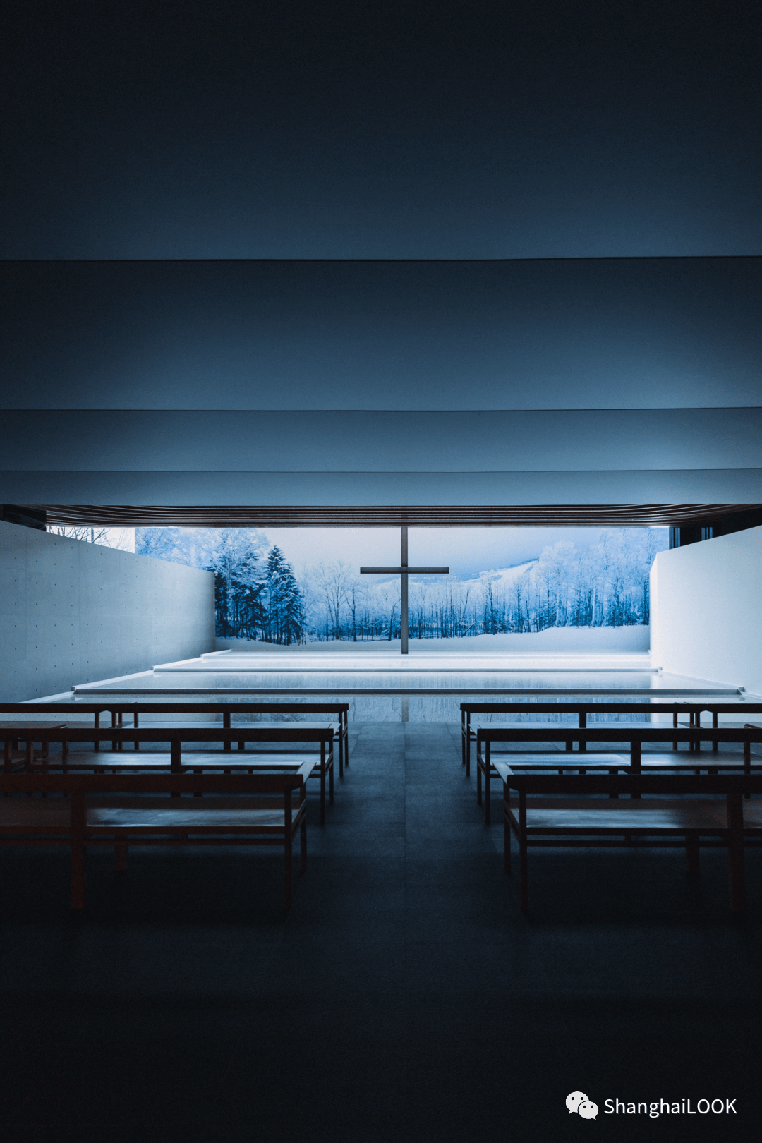 安藤忠雄全球巡展·中国站