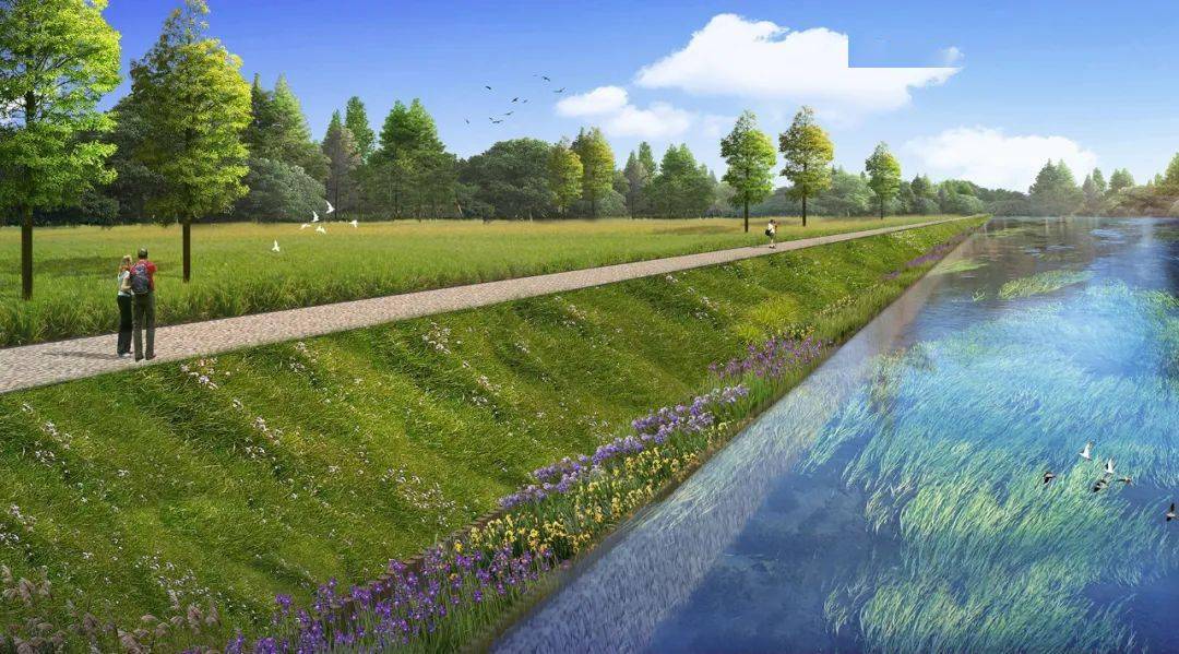 荡整治工程共涉17个湖荡20条河道的综合整治,将建设湖荡堤防(护岸)49