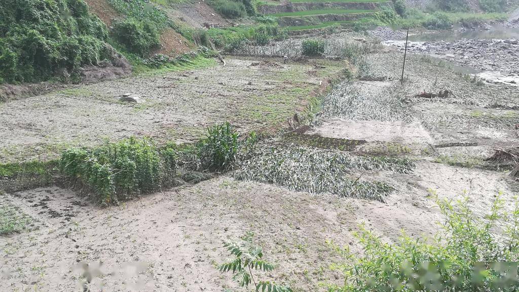 脱贫攻坚交大足迹交大人张飞参与扶贫让汝河村更加美好