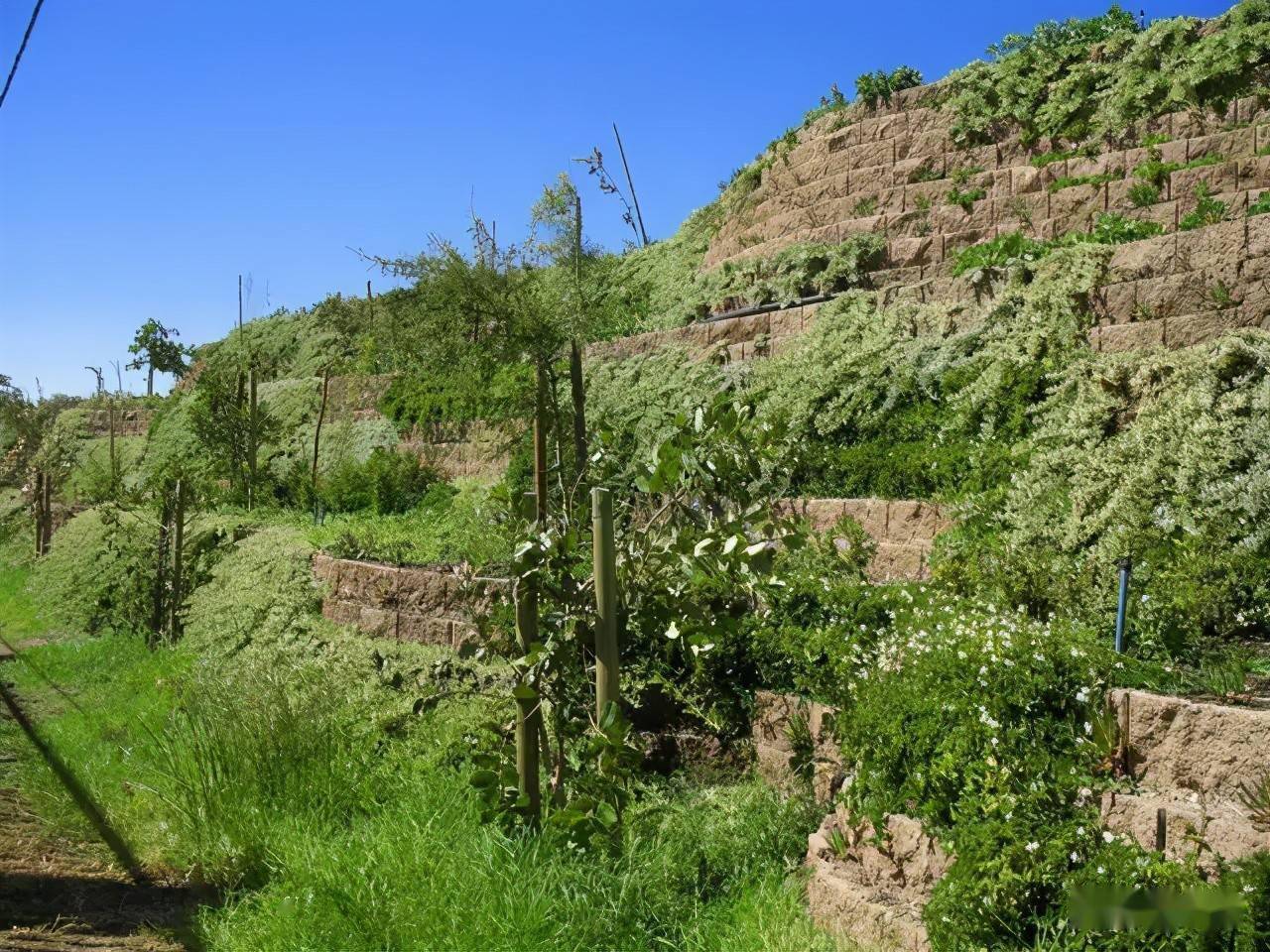 干货最全护坡景观设计13例详细介绍