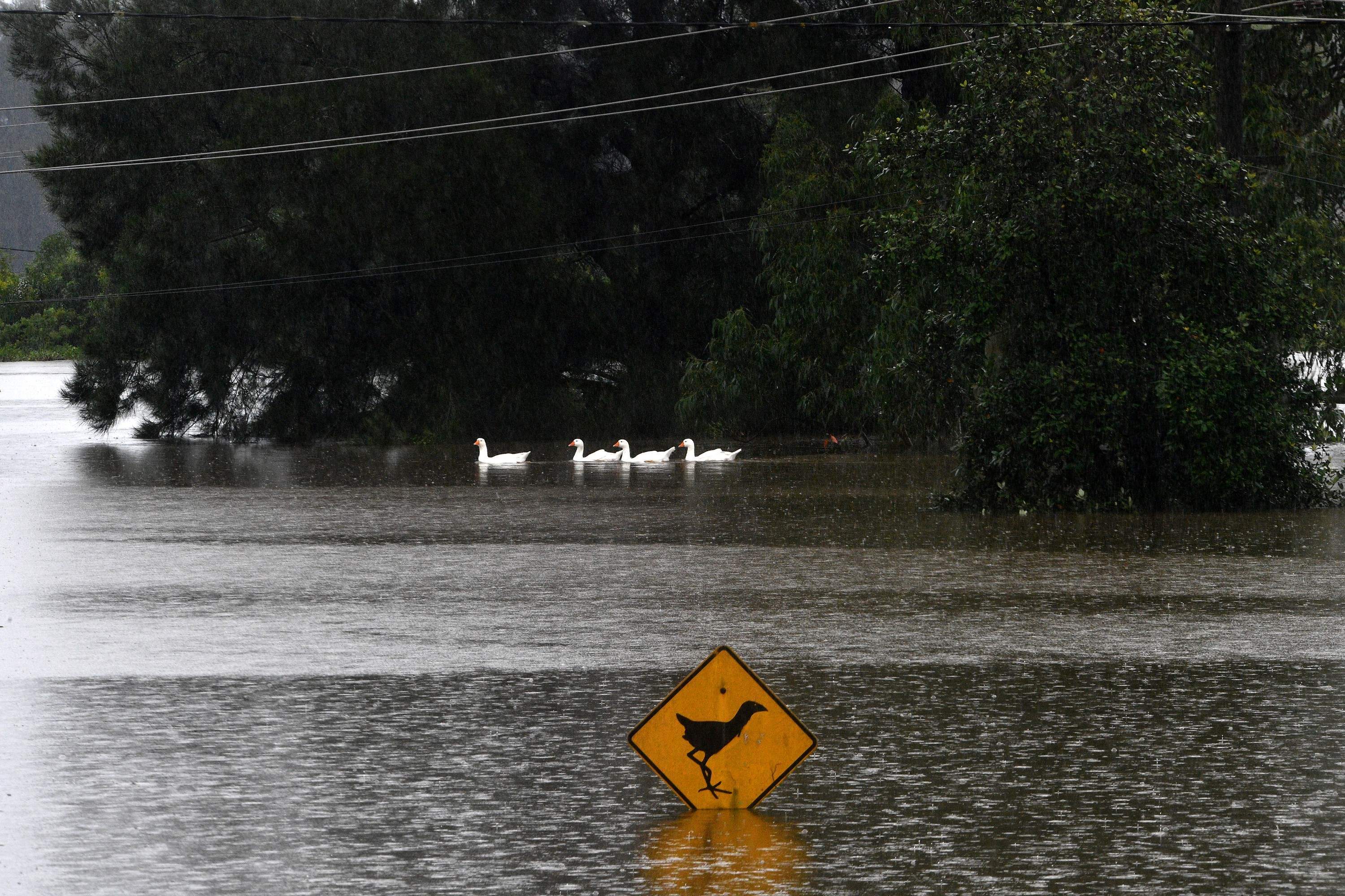 澳大利亚东部遭遇罕见暴雨洪灾