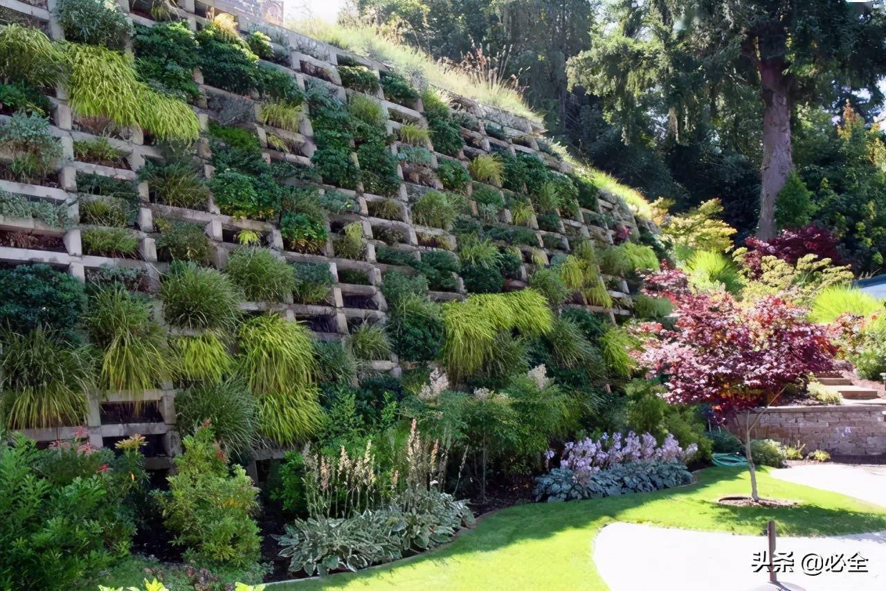 干货最全护坡景观设计13例详细介绍