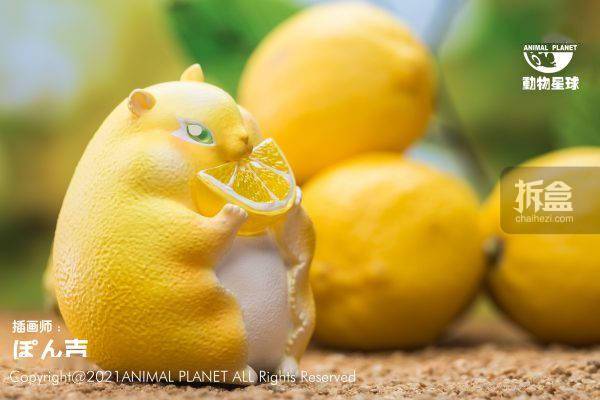 动物星球 ぽん吉 正版果物精灵柠檬鼠 蔬菜精灵菜狗同系列