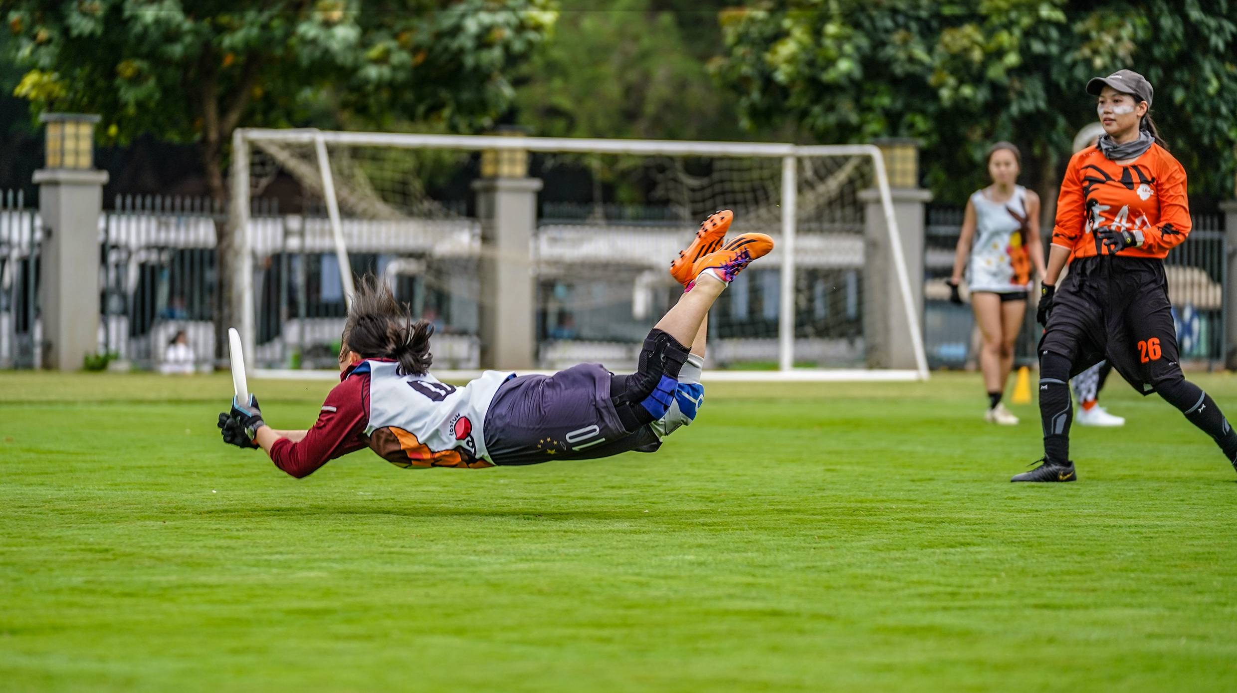 深圳市第十三届极限飞盘全国邀请赛在龙华观澜湖落幕_运动