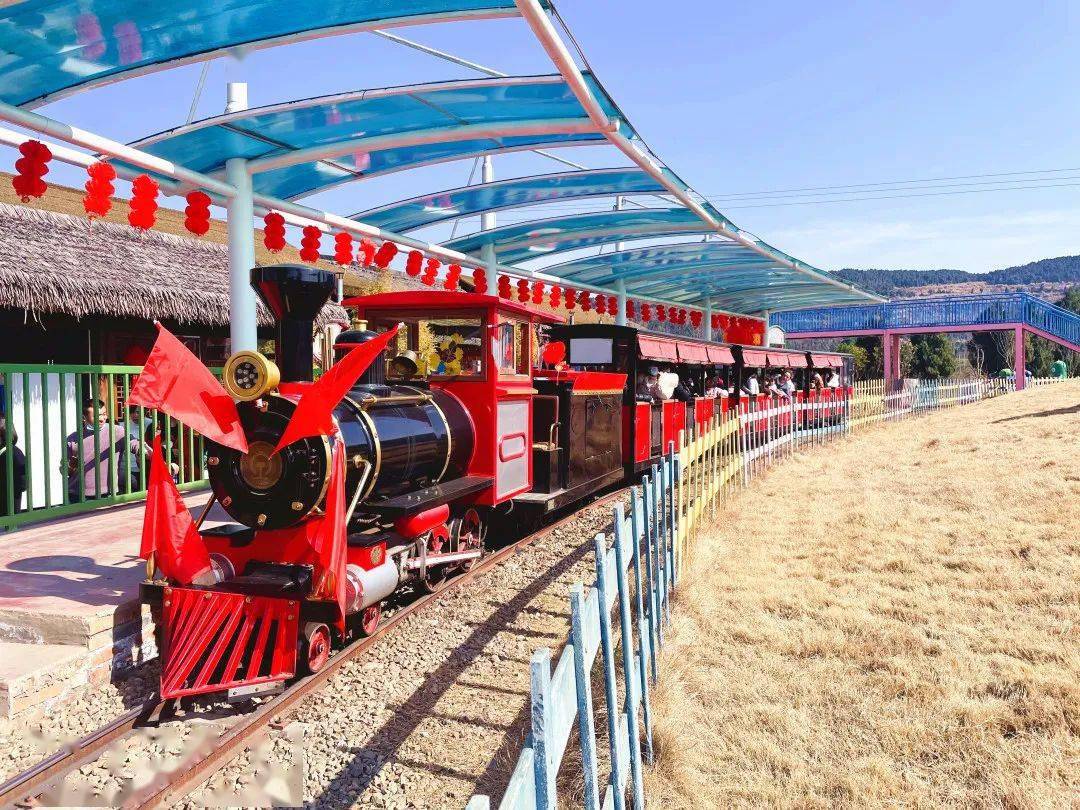 春游进行时拔萝卜摘茼蒿来朵拉东方田园快乐一次搞定