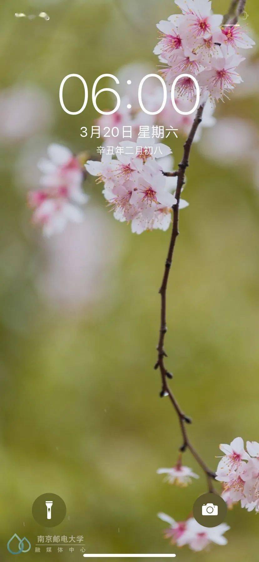 写真集来了 快来选出你心中的最美 花美南 壁纸