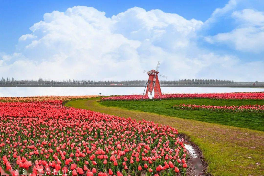 水慢城丨遇见春天郁见你