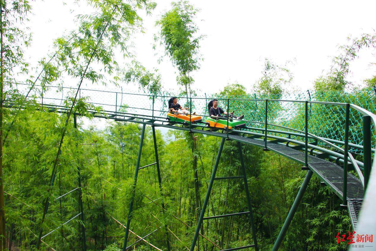 天府川西竹海高空全景走廊将于暑期建成开放！可“穿越”至龙门山生物多样性博览园