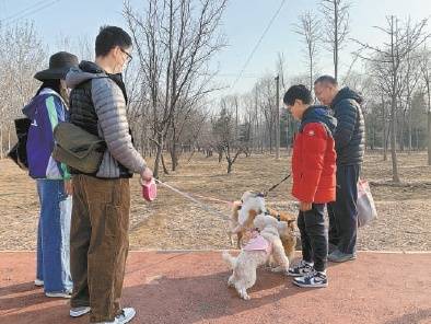 郊野公园景色美 管理不能掉链子鲁西化工股票 东龙网