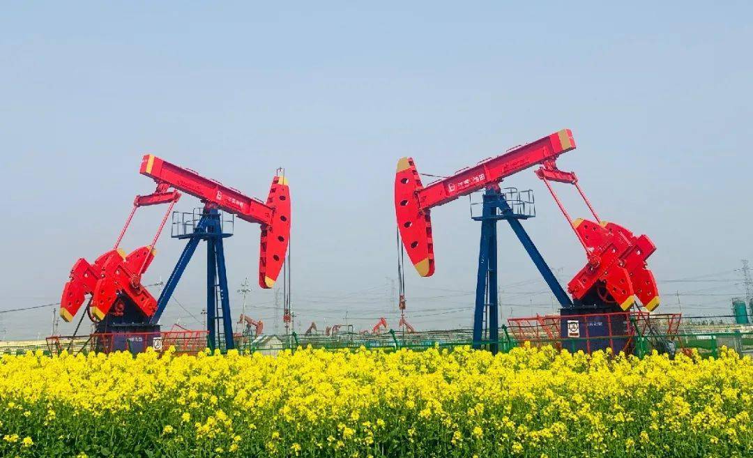 飞花令来了油田春天里的诗词大会