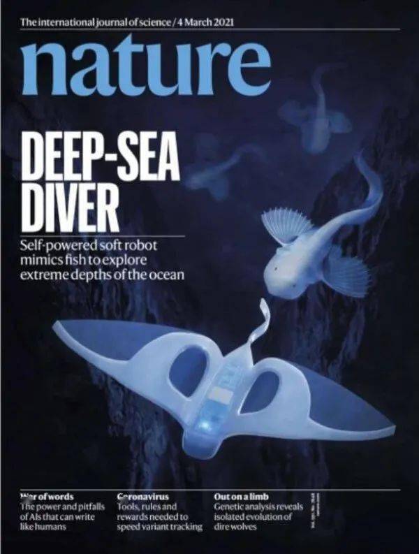 海沟|厉害了！浙大这条“机器鱼”打卡万米海沟，并登上《自然》杂志封面