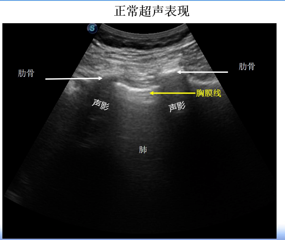 FDC8000 全数字彩色多普勒超声诊断系统-深圳市威尔德医疗电子有限公司--国内医疗器械领域超声技术产品及解决方案的顶尖供应商