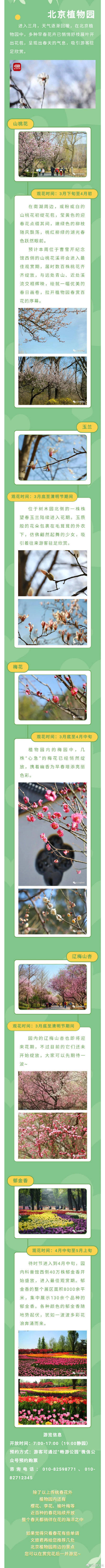 北京植物园山桃花即将进入最佳观赏期，还有这些花千万别错过！