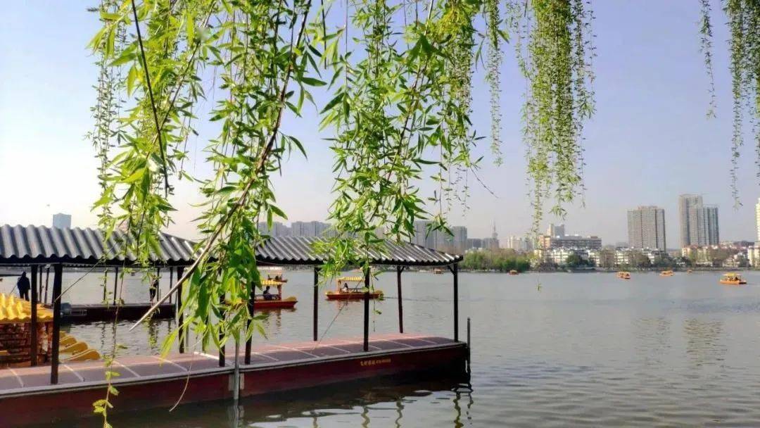 水话金陵丨莫愁湖东风袅袅泛崇光
