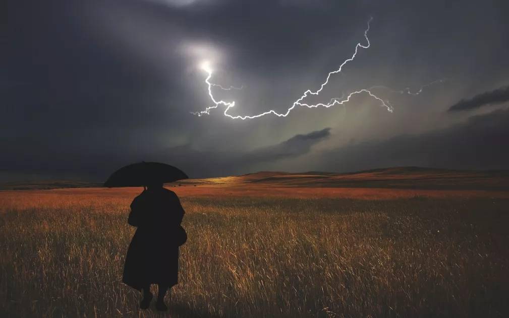 草铵膦项目权属纠纷升级 安道麦控股科利农或添