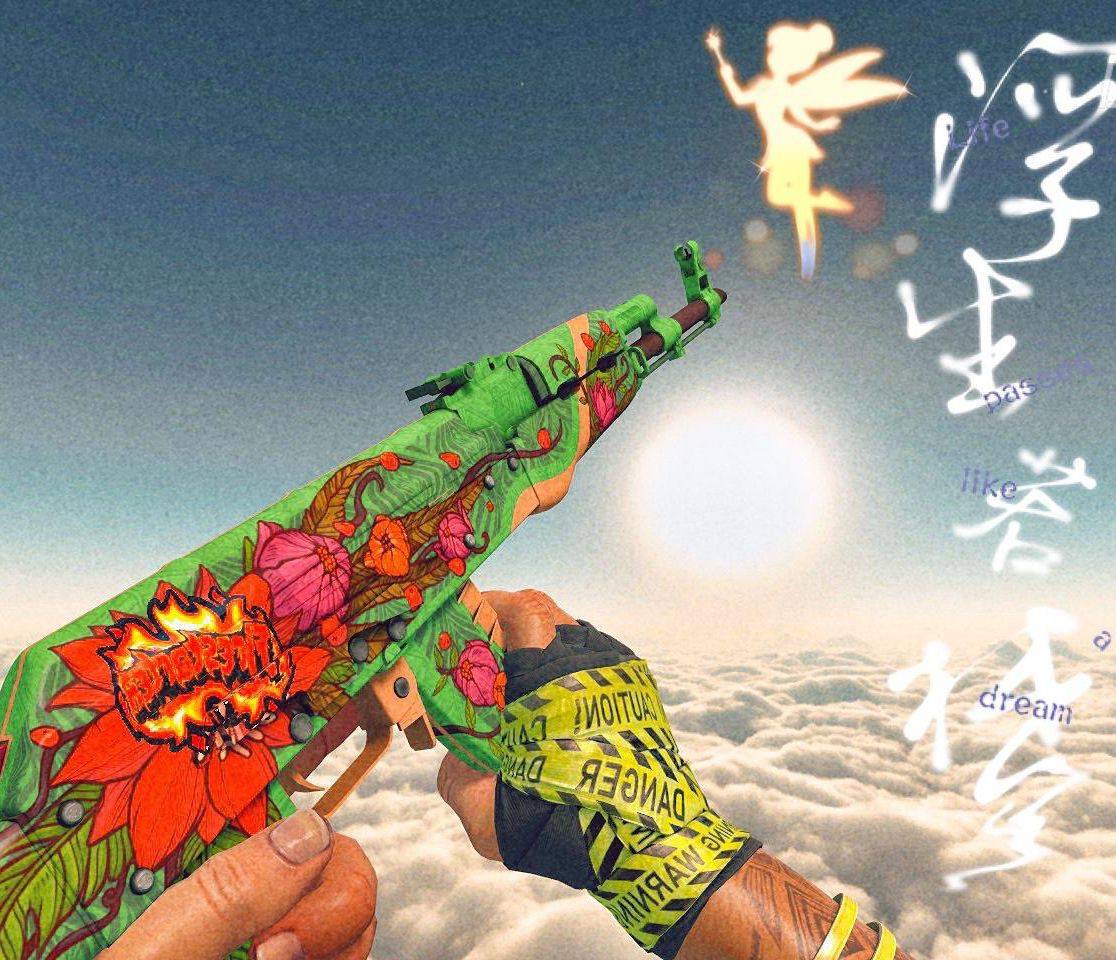 csgo有钱人的玩具玩家斥资近50w打造世界第一野荷