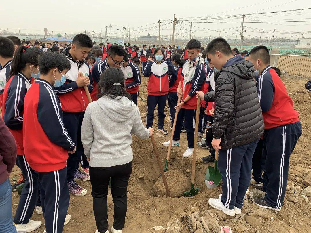 把劳动的种子种在学生心中杨镇二中农业基地开园啦丨校园风采