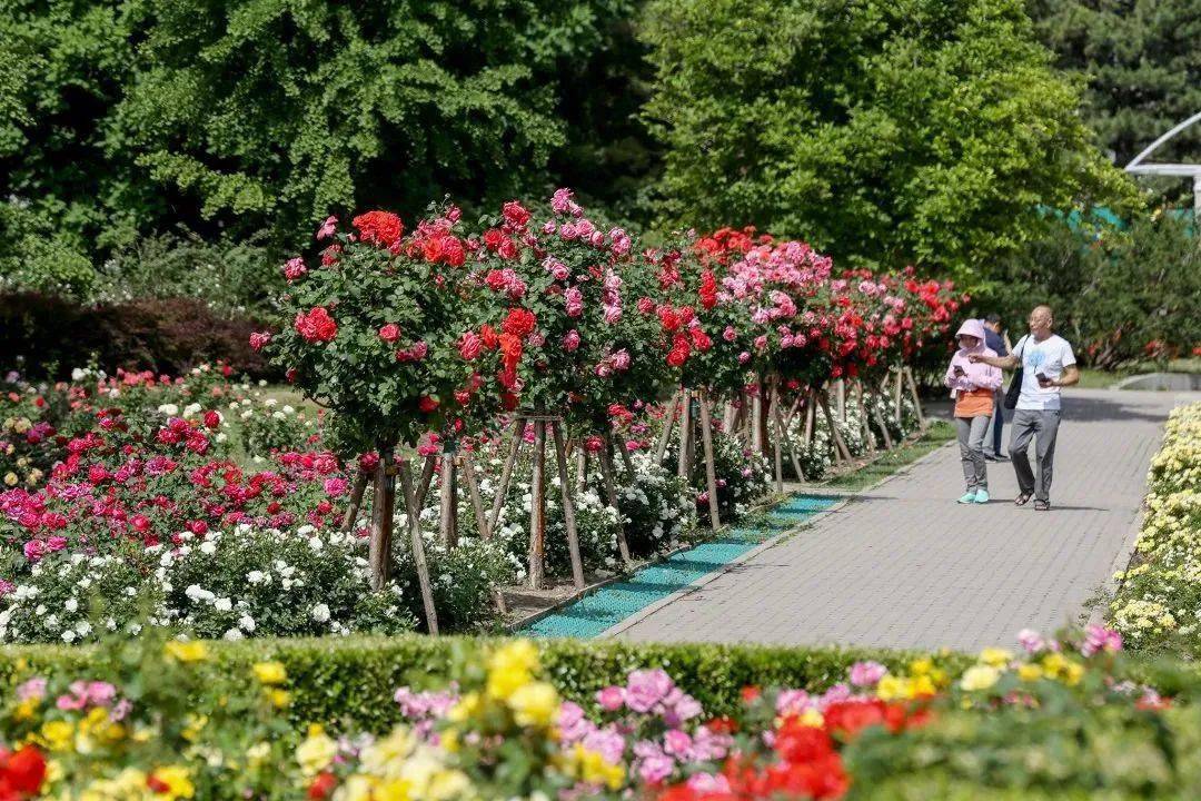 春暖花开北京172处赏花片区等您来踏青