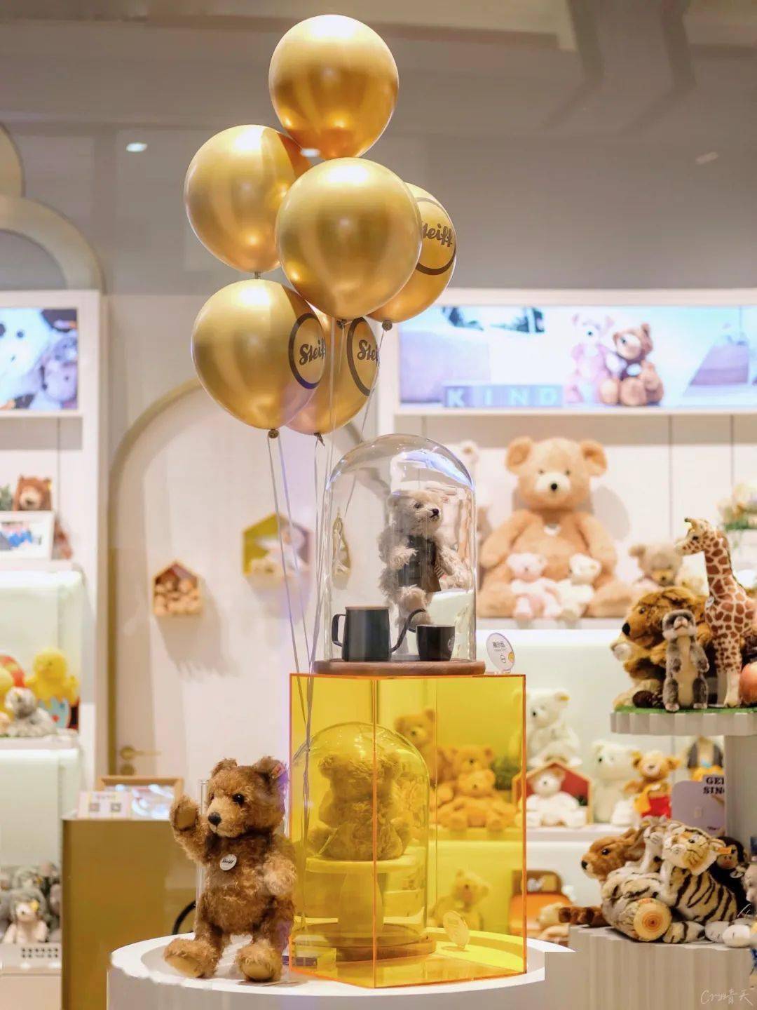 新店开业德国泰迪熊品牌steiff史戴芙萌翻蓉城