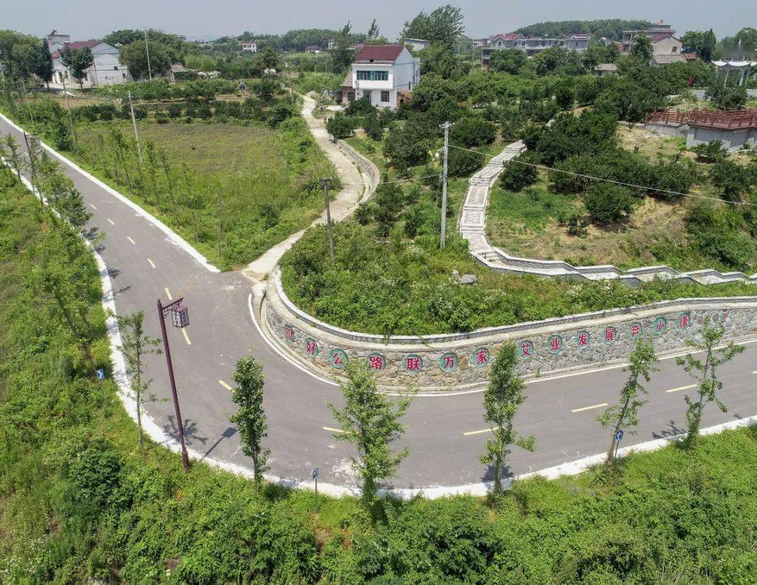 春日里蕲春的这条路美翻了