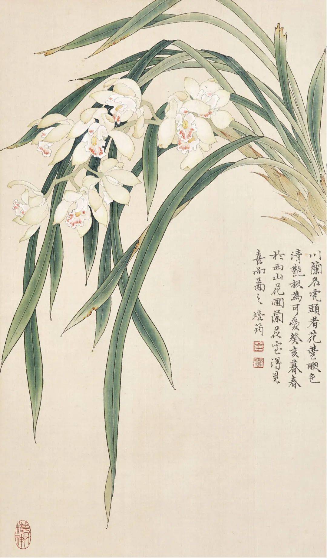 管锥使命章培筠如何用线来表现花卉