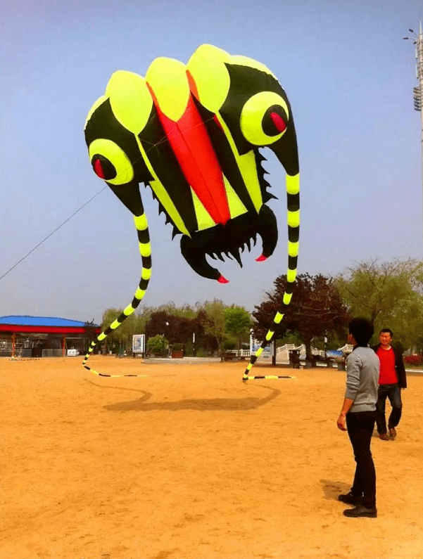 春风吹纸鸢飞一起来湖滨放风筝吧