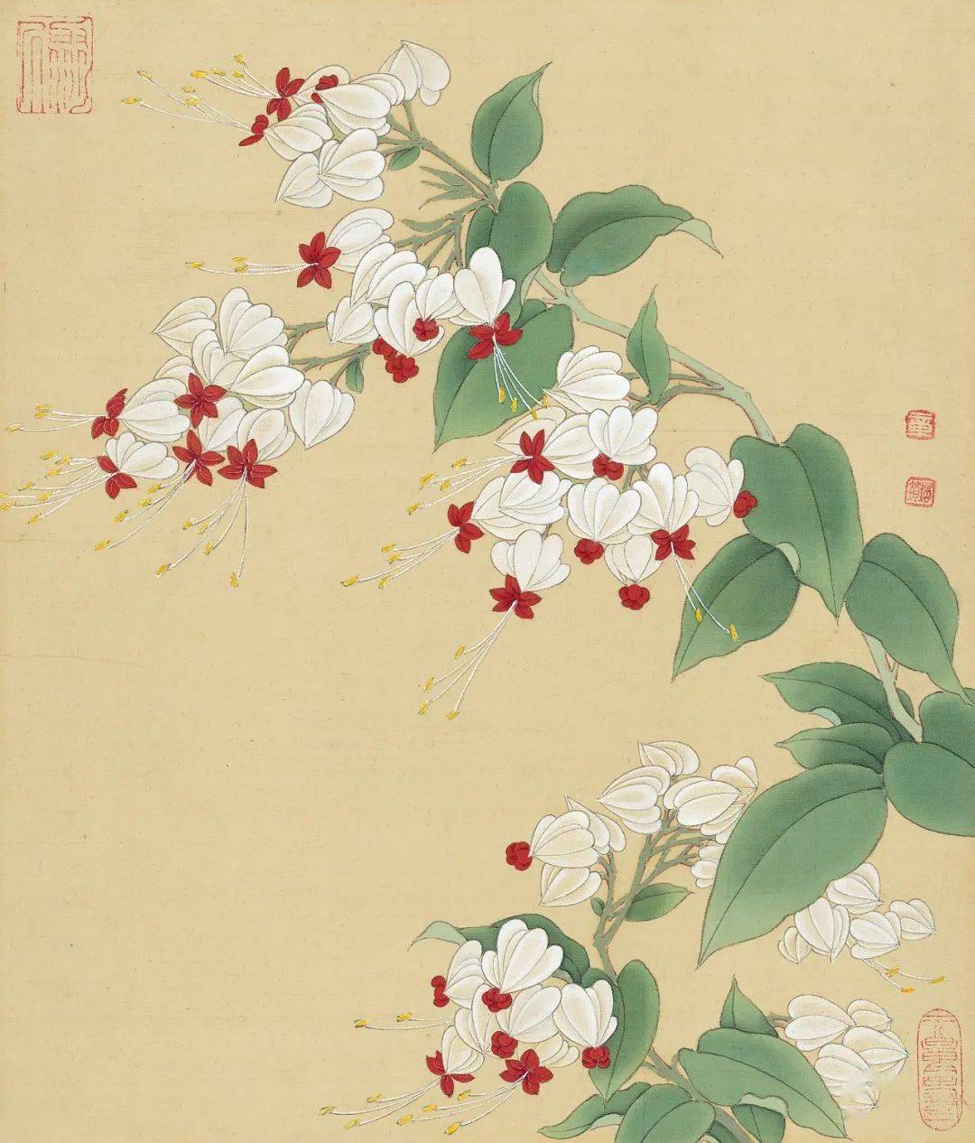 管锥使命章培筠如何用线来表现花卉