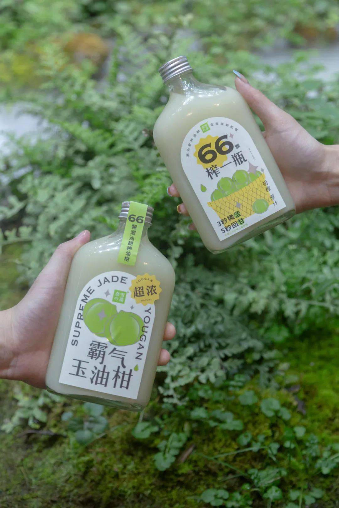 人间油物霸气玉油柑来呼市了66颗甜种油柑榨一瓶