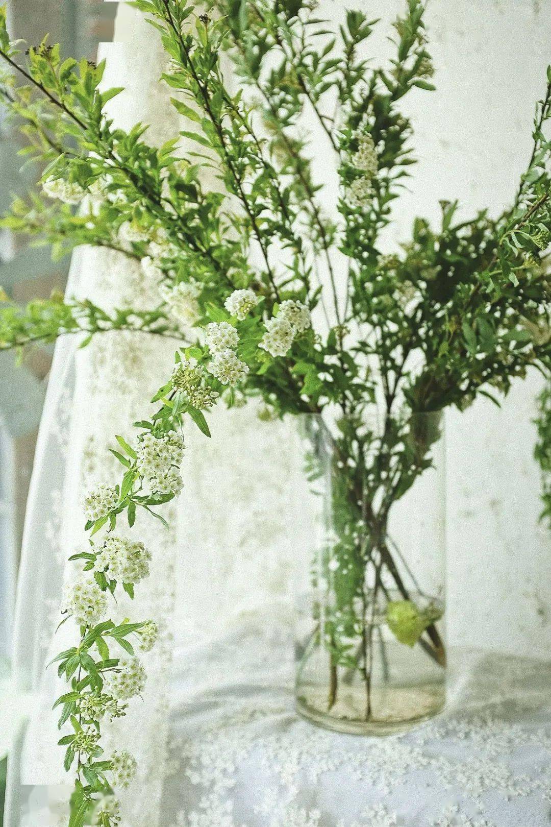 门上柳枝的梦境寓意,解析我梦到对门男人在门上插柳枝的深层含义 门上柳枝的梦境寓意,解析我梦到对门男人在门上插柳枝的深层含义