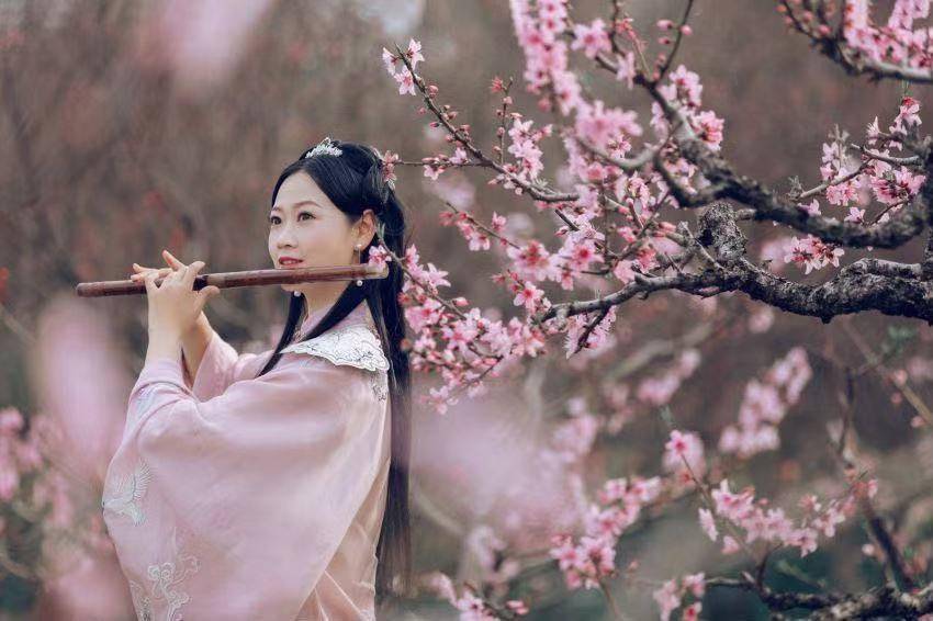 这个春天，来这里步入桃源仙境！2021上海桃花节带来“不一样”桃花之旅