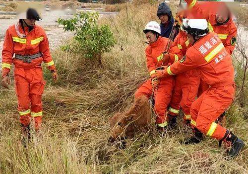 论一个合格消防员的自我修养