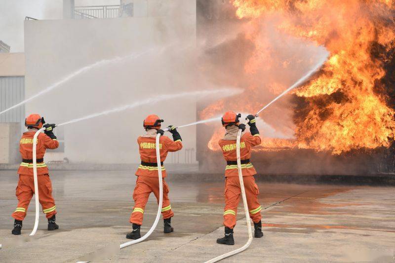 图片新闻丨云南省森林消防总队驻防广西_训练