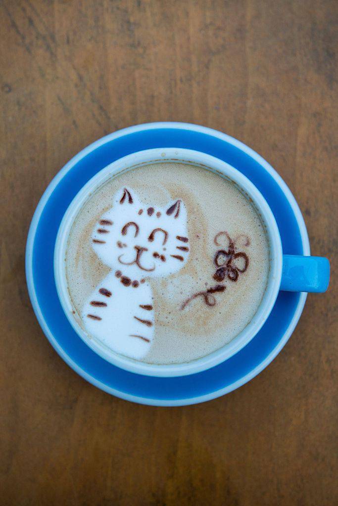 2014年9月10日,山东青岛,大学路穿梭百年时光,猫主题的咖啡拉花非常