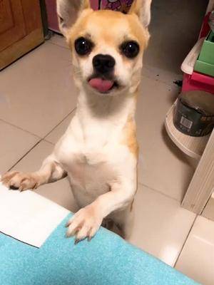 好像我们家璎珞眼睛更大一点你觉得呢延禧攻略魏璎珞