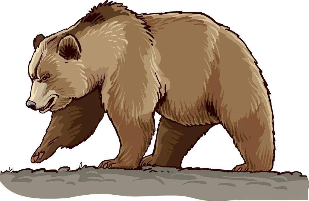 【睡前故事】大熊有个小麻烦_先生