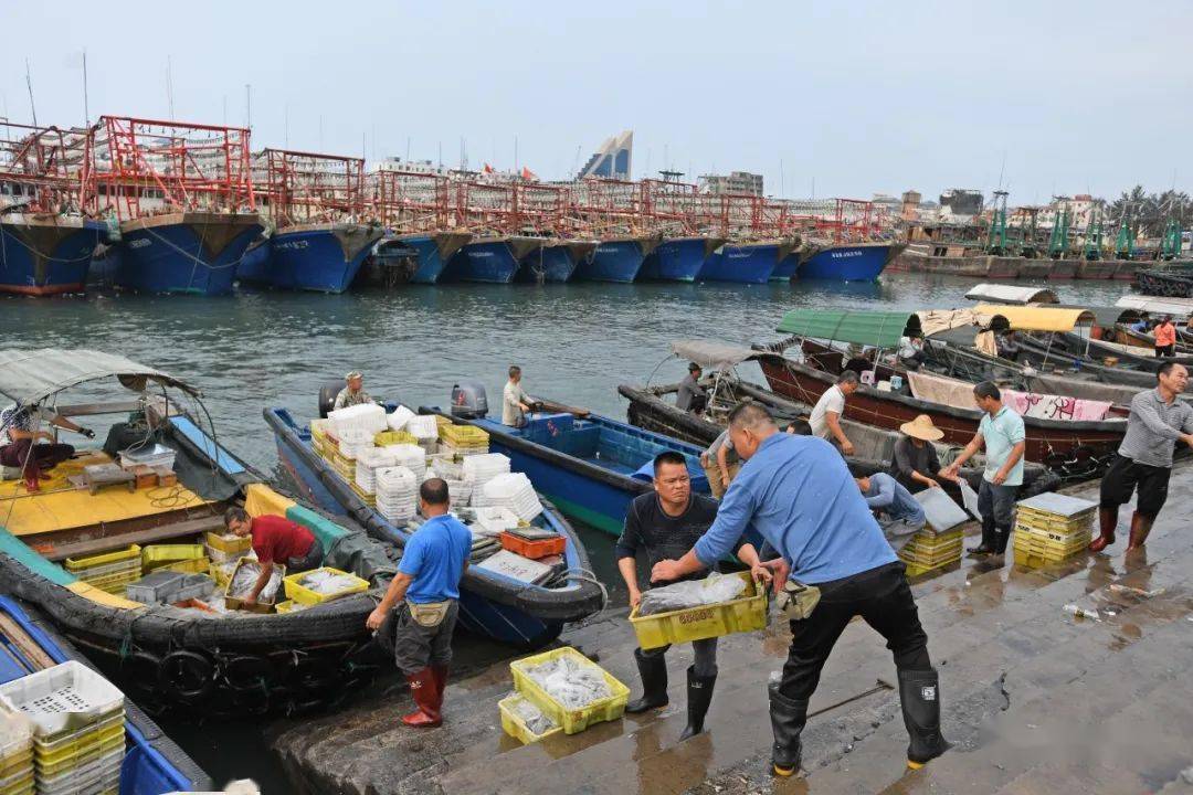 广西北海有多少人口_海丝纪行 之北海篇 一 流淌两千多年的蓝色传奇(2)