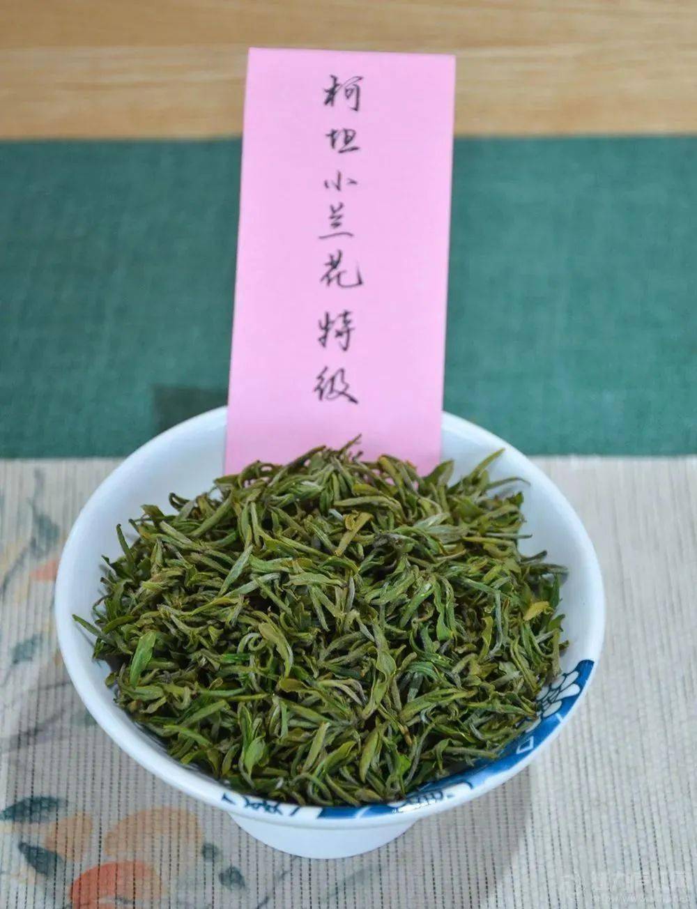 合肥新上市春茶小兰花就在庐江柯坦