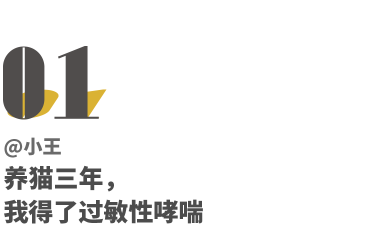 我劝你别养猫 不如留着钱买包 小时