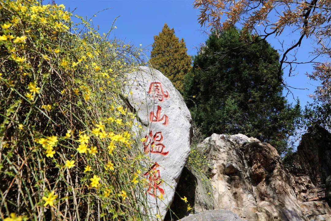 登山泡温泉 赏花吃烧烤 这样的踏青之旅谁不爱 凤山