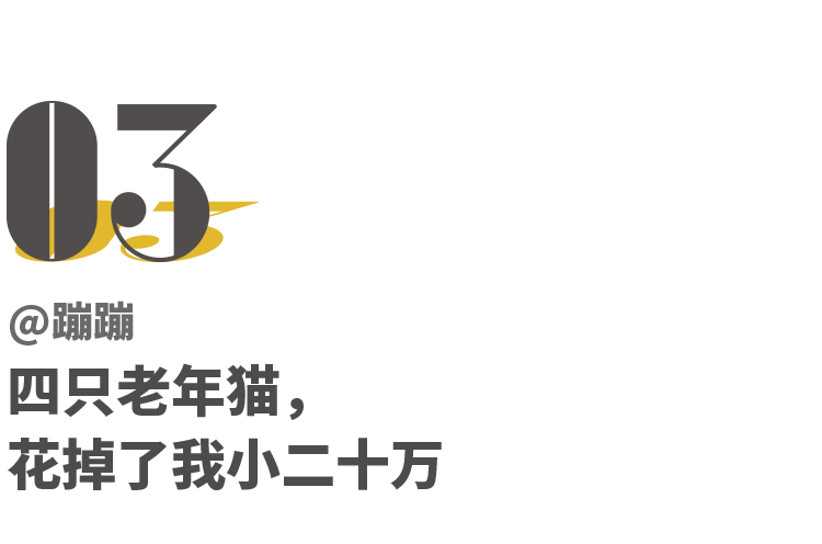 我劝你别养猫 不如留着钱买包 小时