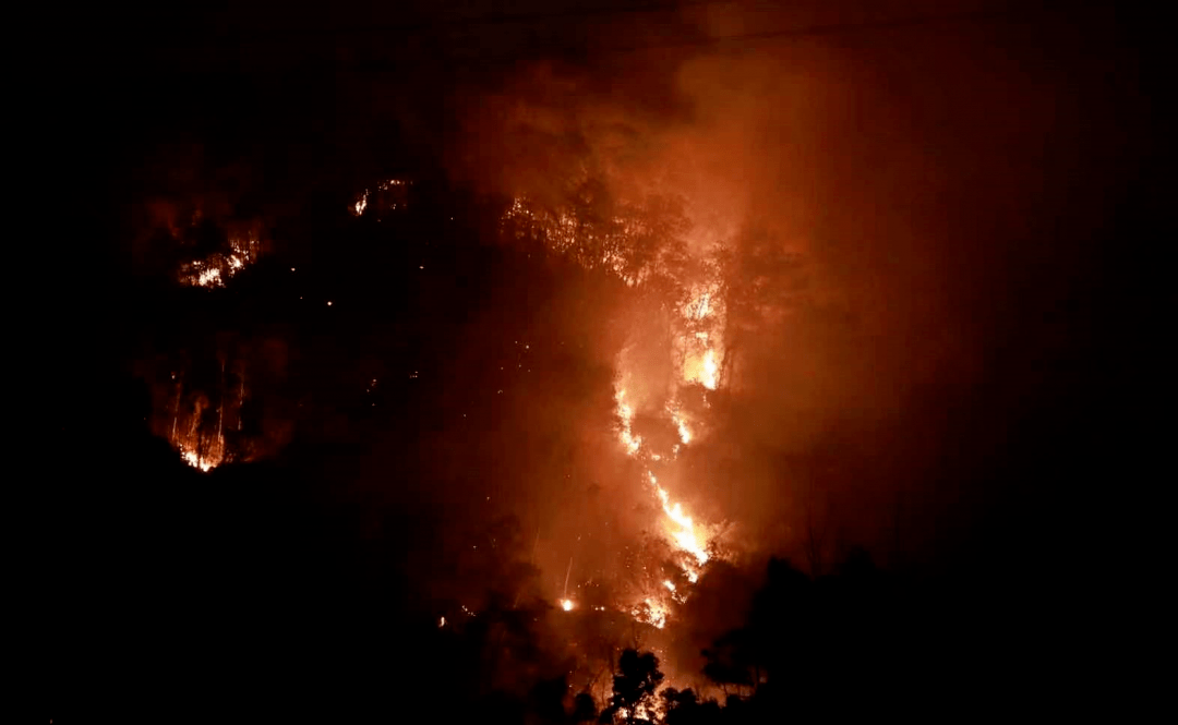 深圳大南山山火原因查明更多详情披露