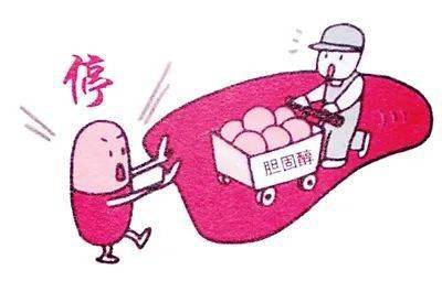 低密度胆固醇和高密度胆固醇过高 3f434075552940f1ada983c74564d810.jpeg